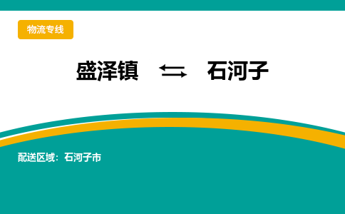 盛泽镇到石河子物流公司|盛泽镇至石河子物流专线